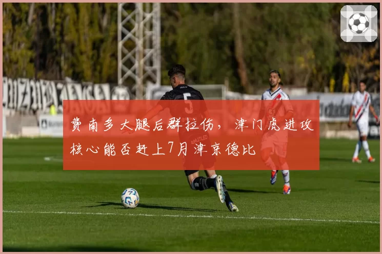 费南多大腿后群拉伤，津门虎进攻核心能否赶上7月津京德比