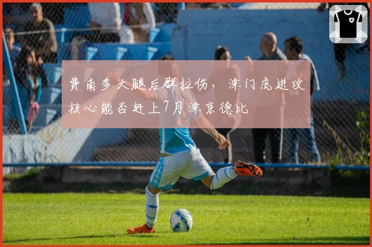 费南多大腿后群拉伤，津门虎进攻核心能否赶上7月津京德比