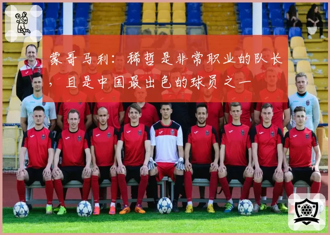 蒙哥马利：稀哲是非常职业的队长，且是中国最出色的球员之一